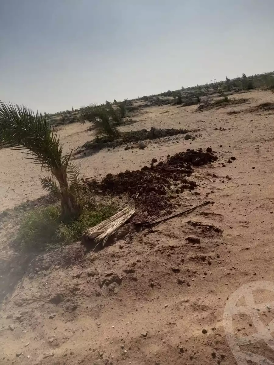 https://aqarmap.com.eg/en/listing/6339643-for-sale-new-valley-kharga-oasis-qret-el-sherka