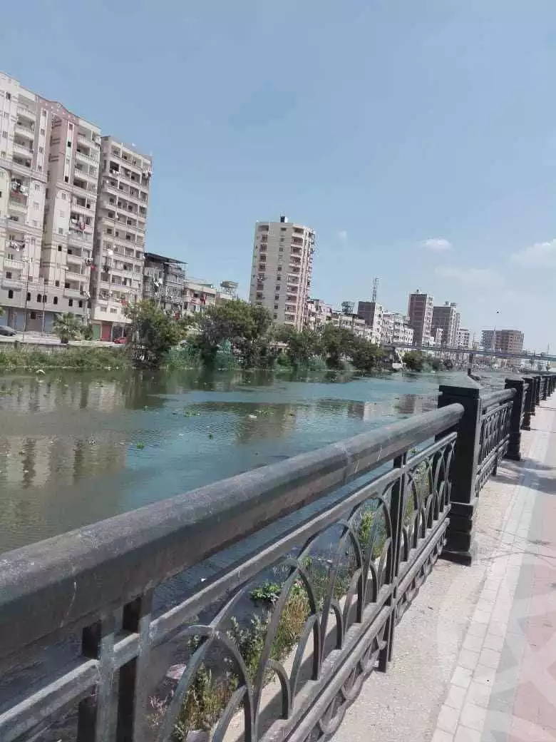 https://aqarmap.com.eg/en/listing/6346744-for-sale-beheira-damanhour