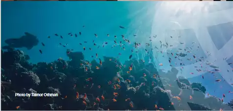 https://aqarmap.com.eg/en/listing/6353942-for-sale-red-sea-hurghada-resorts-blanca-resort-soma-bay