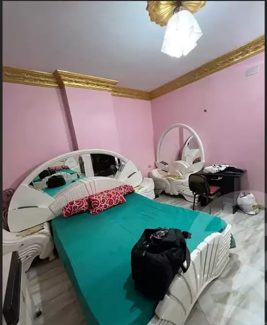 https://aqarmap.com.eg/en/listing/6357423-for-rent-dakahlia-mansoura-hy-ljm