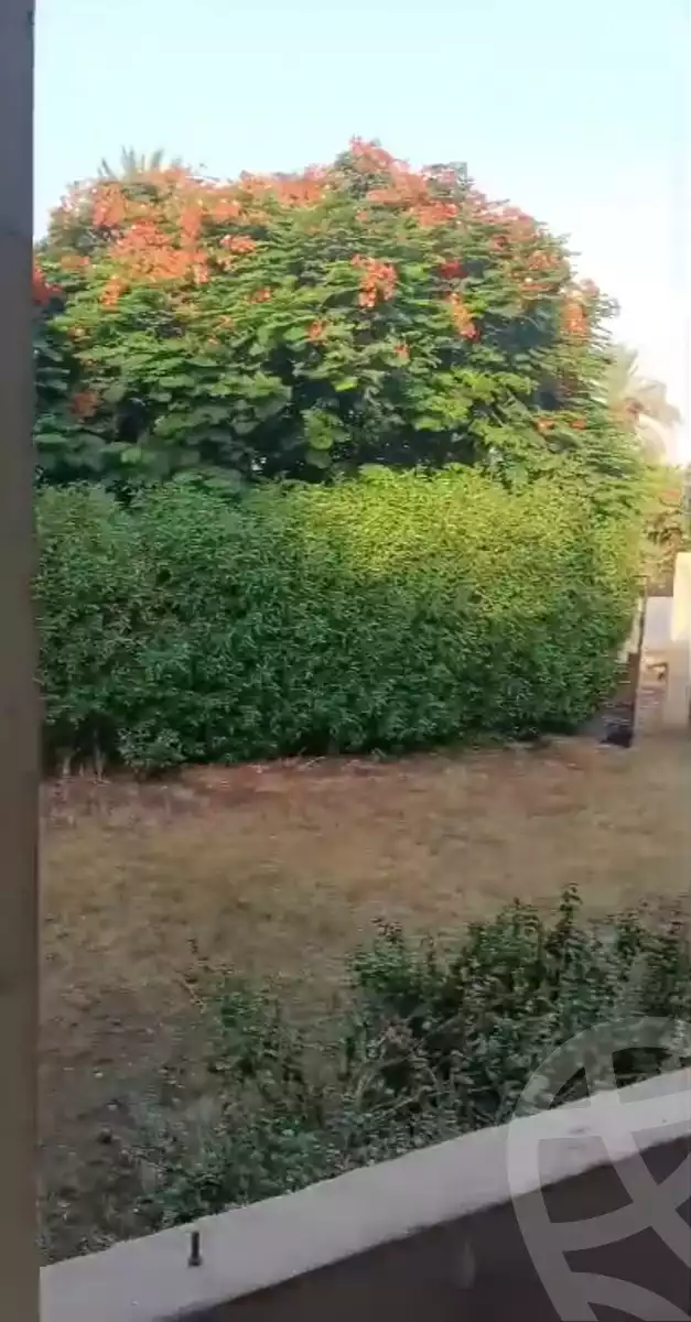 https://aqarmap.com.eg/ar/listing/6359215-for-sale-cairo-el-mansuriyyah-el-saliba