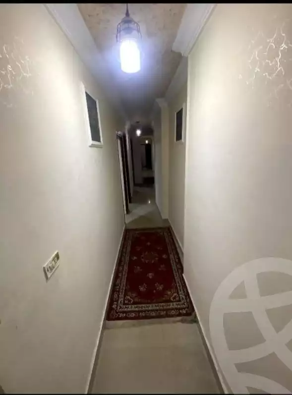 https://aqarmap.com.eg/en/listing/6368560-for-rent-alexandria-miami-khld-bn-lwlyd