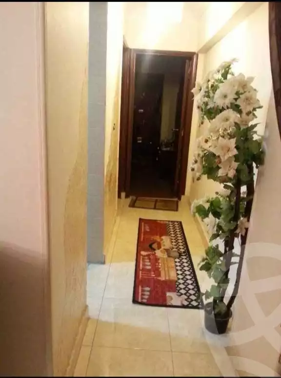 https://aqarmap.com.eg/en/listing/6375560-for-sale-cairo-ain-shams-ain-shams-el-sharkia