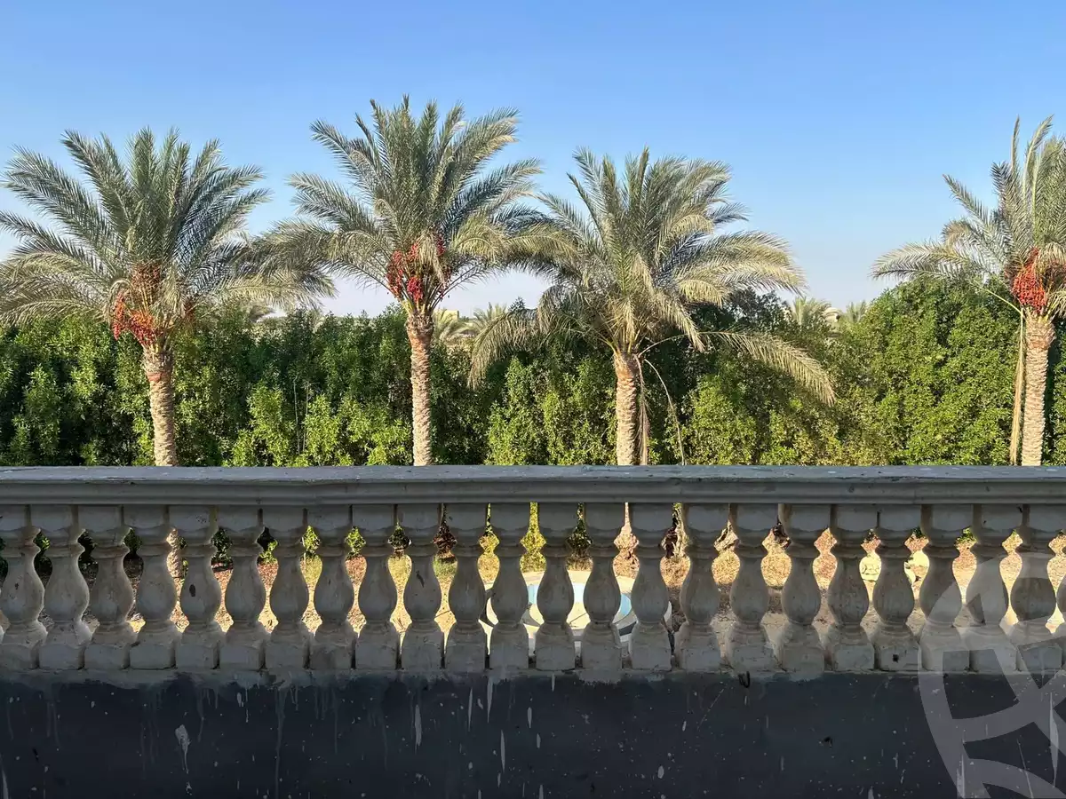 https://aqarmap.com.eg/ar/listing/6383683-for-sale-cairo-el-sheikh-zayed-city-alex-cairo-desert-road-mntq-fr-y-btryq-skndryh-lshrwy
