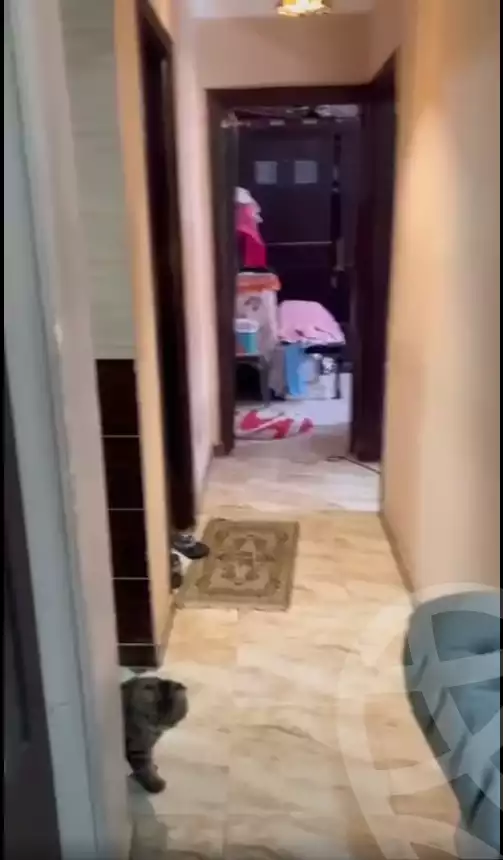 https://aqarmap.com.eg/en/listing/6386003-for-rent-cairo-ain-shams-el-naam