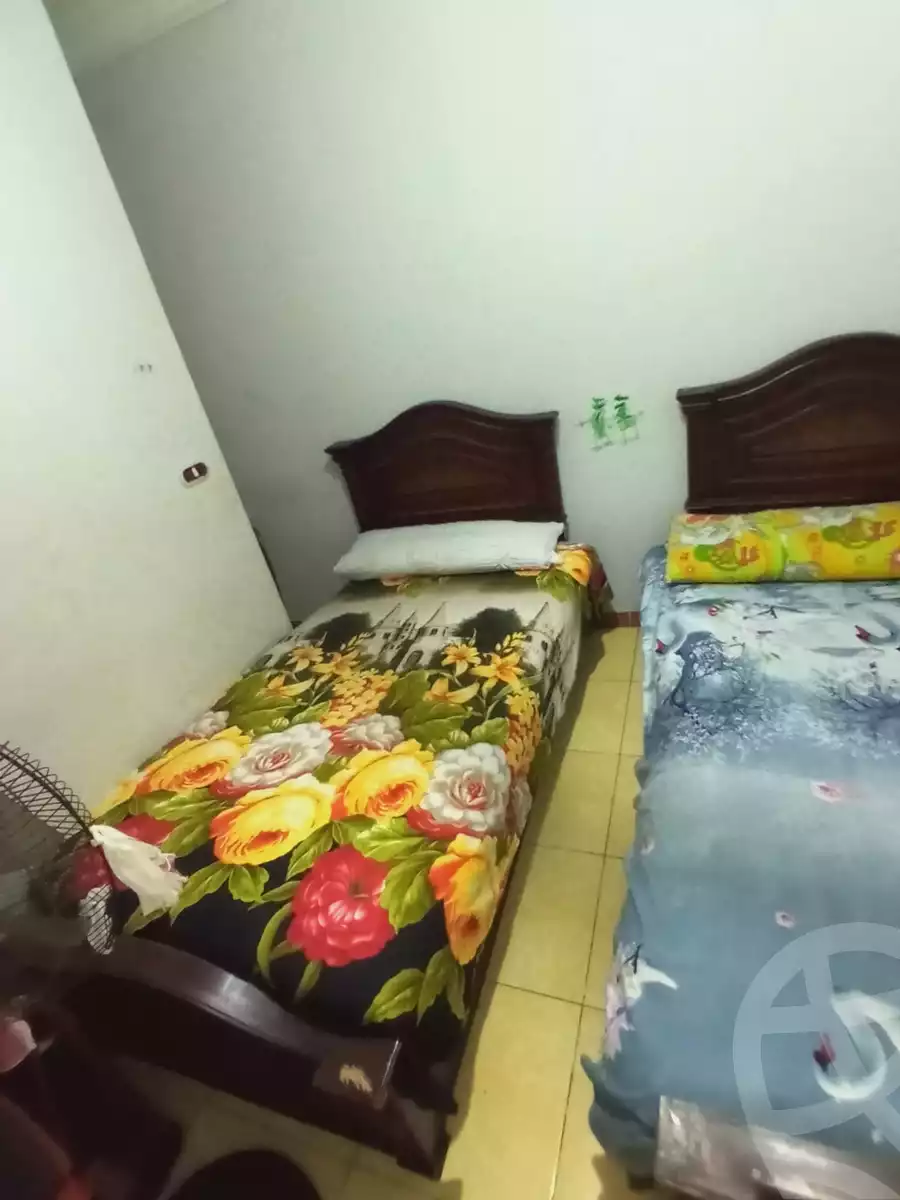 https://aqarmap.com.eg/en/listing/6386720-for-rent-alexandria-miami-khld-bn-lwlyd