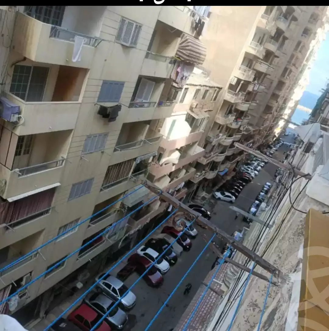 https://aqarmap.com.eg/en/listing/6401716-for-rent-alexandria-miami-mahmoud-el-isawy-st