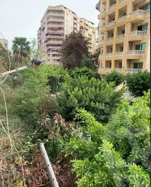 https://aqarmap.com.eg/en/listing/6427811-for-sale-port-said-bwr-fwd-industrial-zone