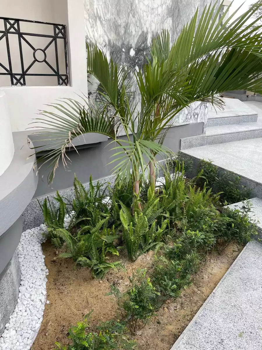 https://aqarmap.com.eg/en/listing/6428197-for-rent-cairo-new-cairo-el-banafsg-el-banafsag-omarat-al-gabri-st