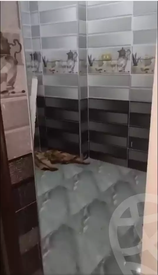 https://aqarmap.com.eg/en/listing/6430454-for-sale-cairo-ain-shams-ahmed-esmat-st