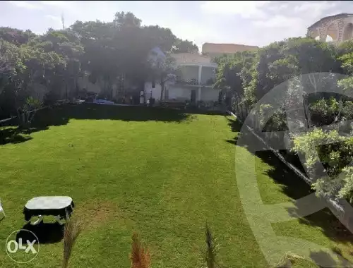 https://aqarmap.com.eg/en/listing/6401797-for-rent-alexandria-el-amreya-el-zeraa-el-bahari