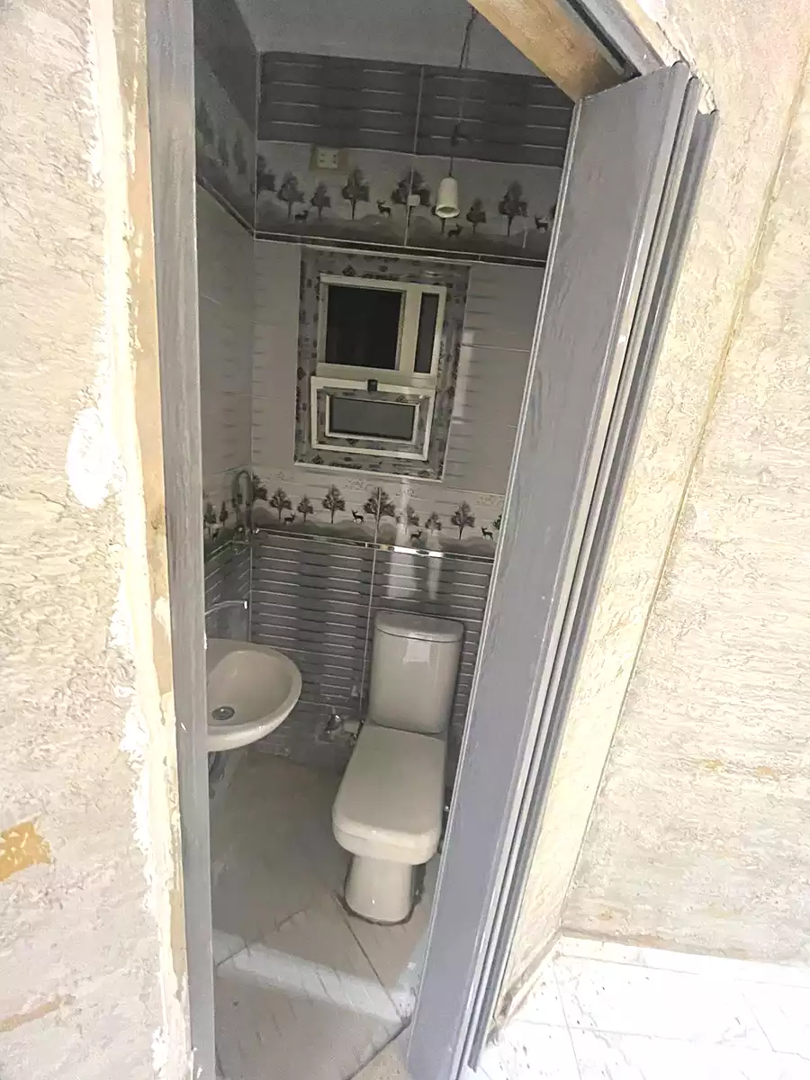 https://aqarmap.com.eg/en/listing/6439747-for-rent-cairo-ain-shams-alf-maskn