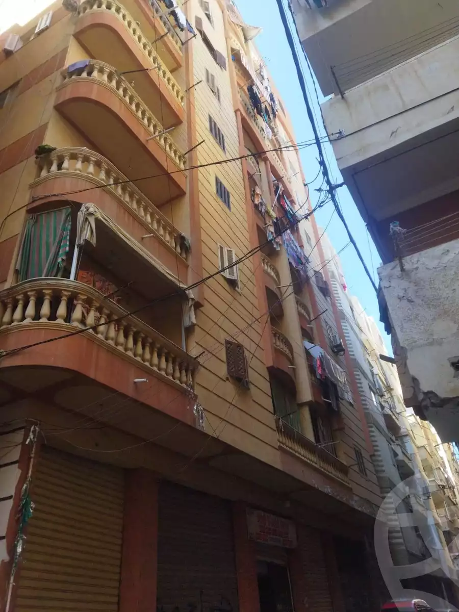 https://aqarmap.com.eg/en/listing/6459802-for-sale-alexandria-l-jmy-el-hanouvel