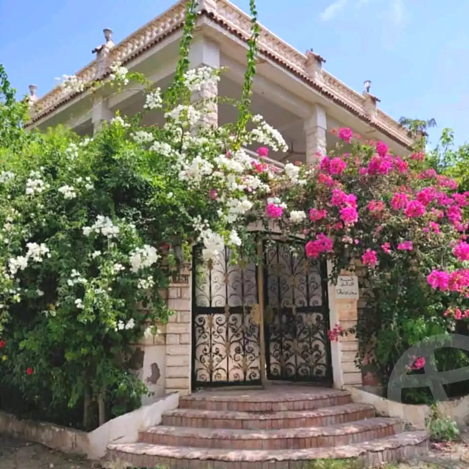 https://aqarmap.com.eg/ar/listing/6479014-for-sale-alexandria-l-jmy-lbytsh