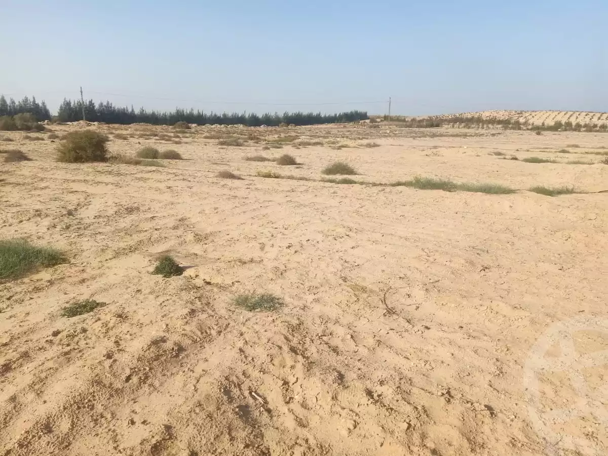 https://aqarmap.com.eg/en/listing/6488589-for-sale-beheira-wadi-el-natrun-bany-salama