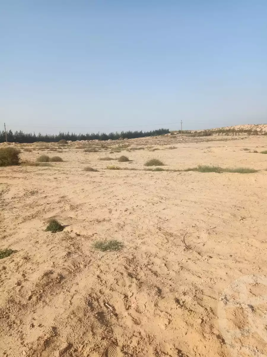 https://aqarmap.com.eg/en/listing/6488589-for-sale-beheira-wadi-el-natrun-bany-salama