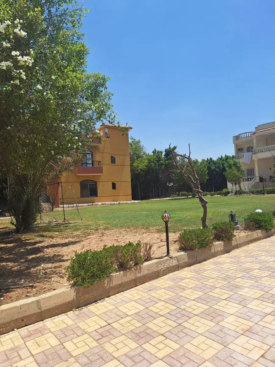 https://aqarmap.com.eg/en/listing/6497137-for-sale-cairo-el-sheikh-zayed-city-lshykh-zyd-ljdyd-el-reef-el-oroby