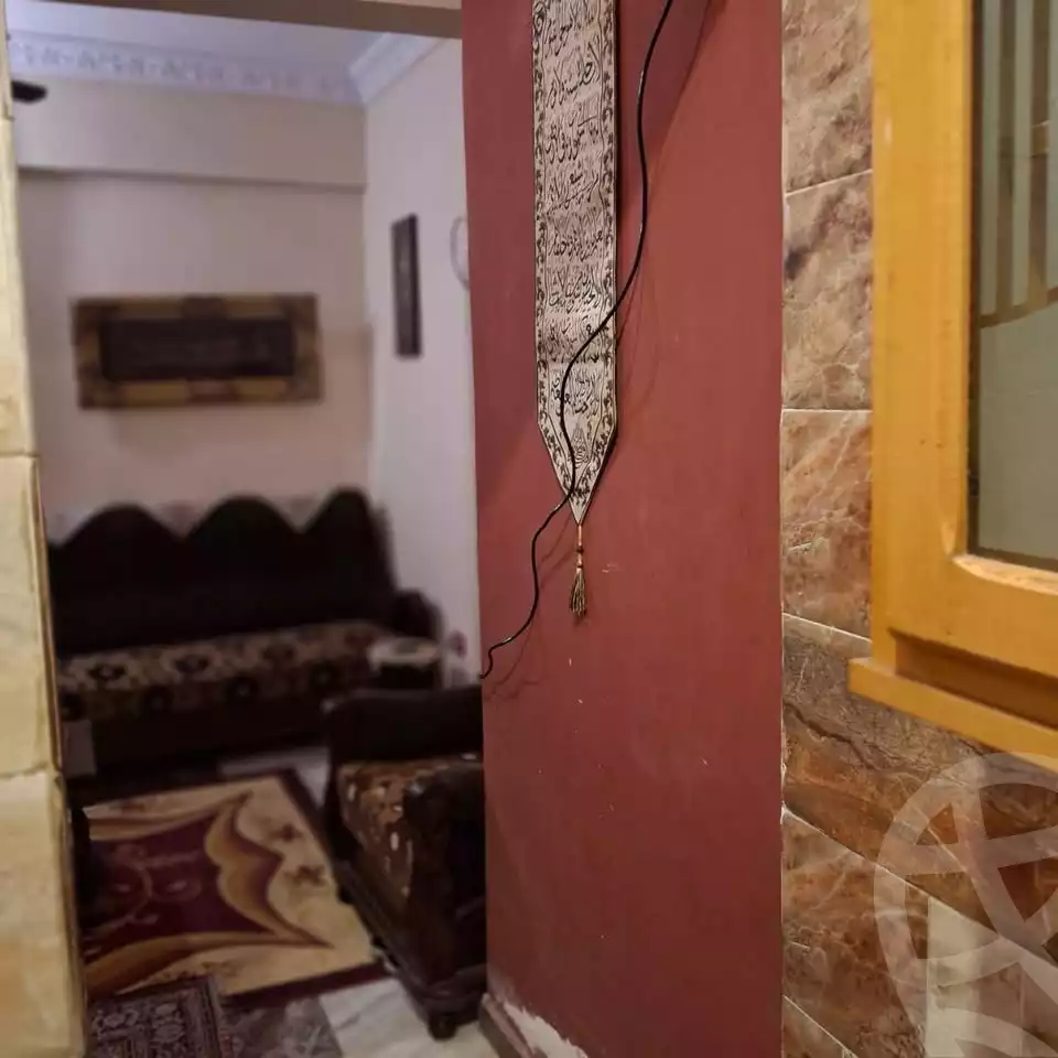 https://aqarmap.com.eg/en/listing/6529008-for-sale-alexandria-l-jmy-lbytsh-al-kaada-st