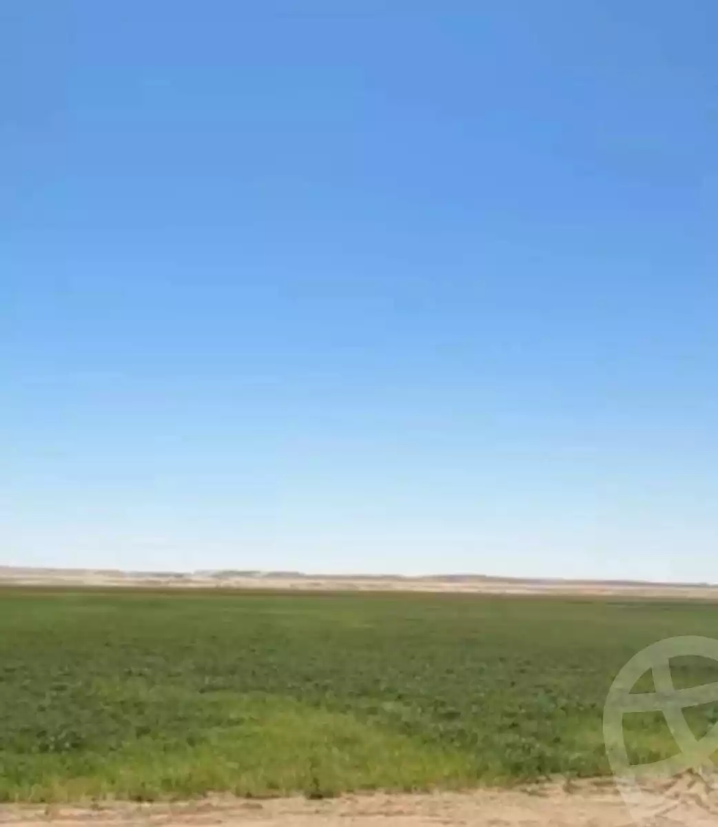 https://aqarmap.com.eg/en/listing/6535163-for-sale-new-valley-dakhla-oasis-balat