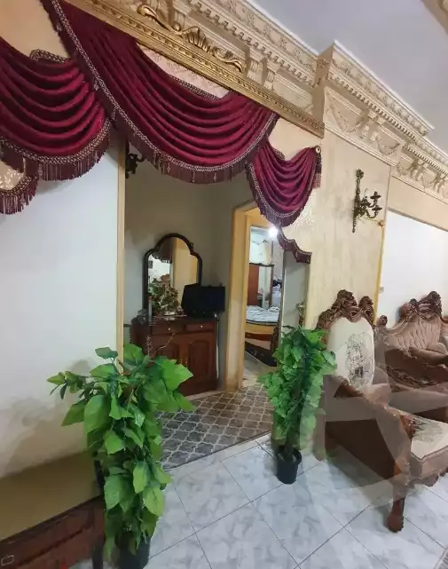 https://aqarmap.com.eg/en/listing/6547039-for-sale-alexandria-lsywf-gamila-abu-herid-st