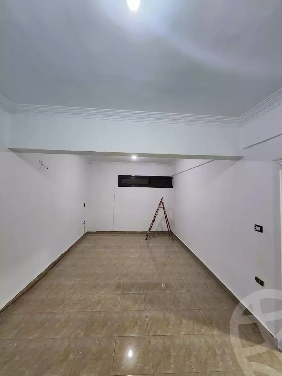 https://aqarmap.com.eg/en/listing/6554941-for-rent-cairo-new-cairo-90th-street-northern-90th-street