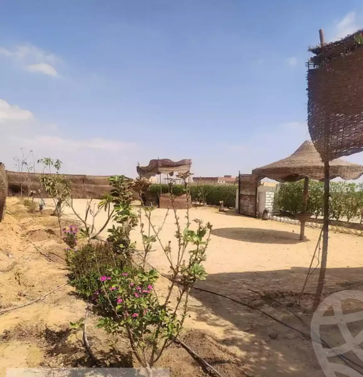 https://aqarmap.com.eg/en/listing/6577943-for-sale-el-fayoum-asyut-rd
