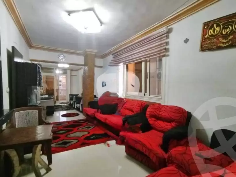 https://aqarmap.com.eg/ar/listing/6579832-for-rent-alexandria-el-mandara-tryq-ljysh
