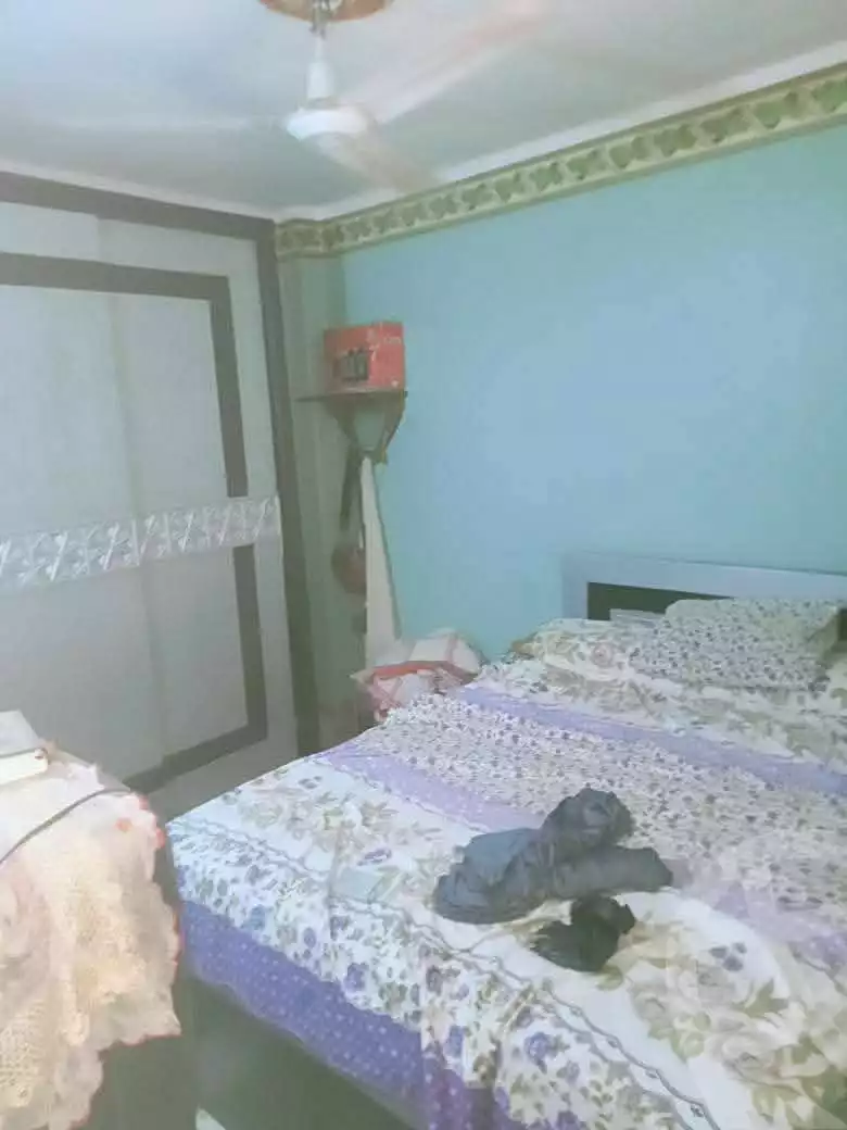 https://aqarmap.com.eg/ar/listing/6582991-for-rent-cairo-helwan-american-project-neighborhood-1