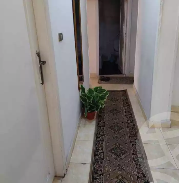 https://aqarmap.com.eg/ar/listing/6587352-for-rent-alexandria-miami-el-sayed-radwan-st