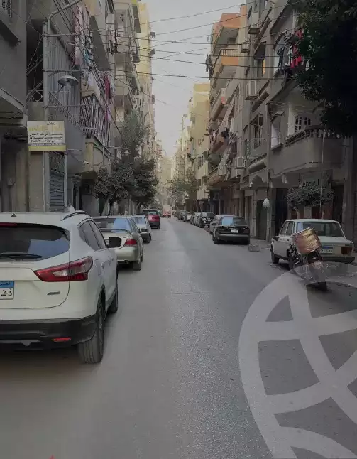 https://aqarmap.com.eg/en/listing/6589532-for-rent-dakahlia-mansoura-el-mansoura-city-ahmed-maher-st