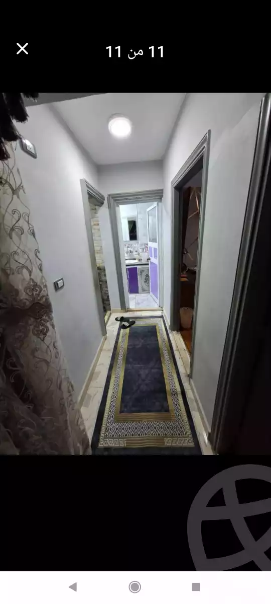 https://aqarmap.com.eg/ar/listing/6590758-for-sale-alexandria-l-jmy-lbytsh-qased-kareem-st