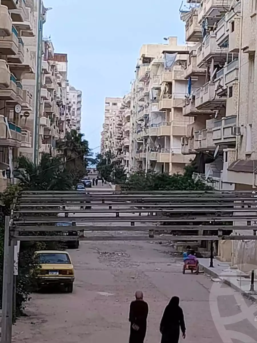 https://aqarmap.com.eg/ar/listing/6594621-for-sale-alexandria-l-jmy-shataa-el-nakheel