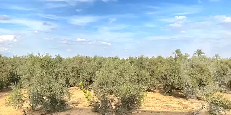 https://aqarmap.com.eg/ar/listing/6599586-for-sale-ismailia-abu-sweer
