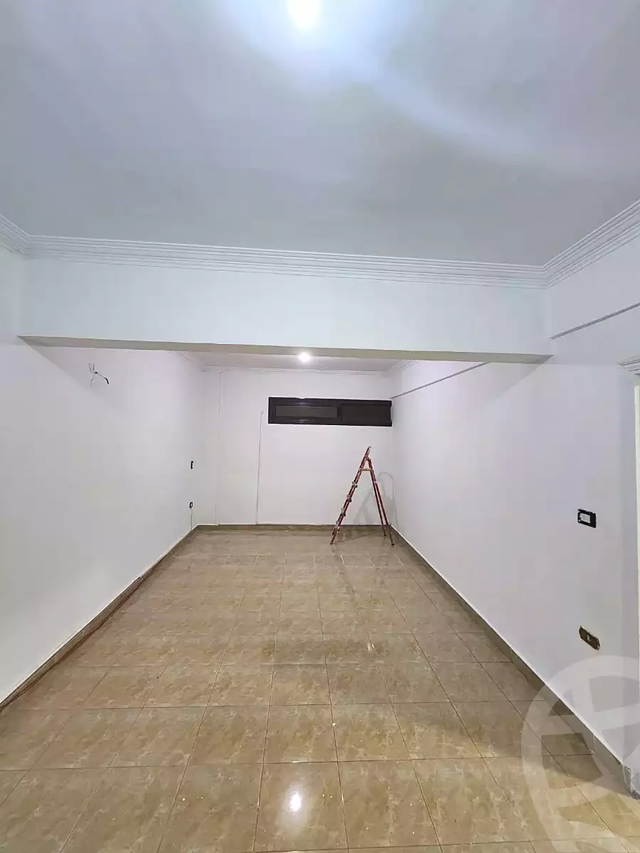 https://aqarmap.com.eg/en/listing/6600735-for-rent-cairo-new-cairo-90th-street-northern-90th-street