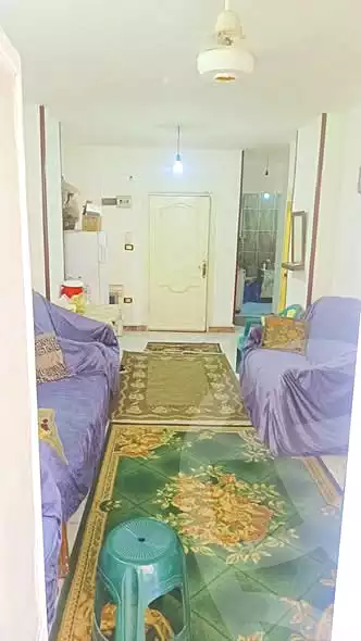 https://aqarmap.com.eg/en/listing/6606393-for-sale-alexandria-l-jmy-el-hanouvel
