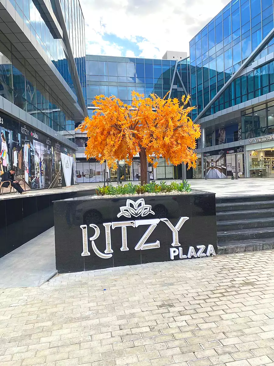 https://aqarmap.com.eg/en/listing/6608950-for-rent-cairo-el-sheikh-zayed-city-compounds-ritz-compound-arqa