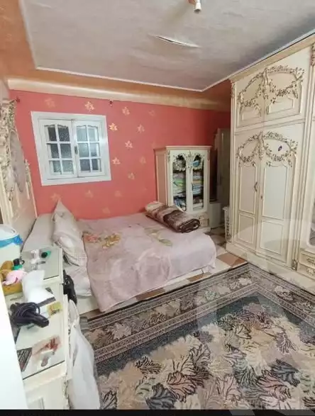 https://aqarmap.com.eg/en/listing/6609224-for-sale-alexandria-ganaklis