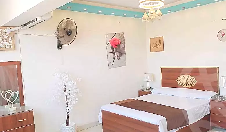 https://aqarmap.com.eg/ar/listing/6609392-for-rent-cairo-manial-kwrnysh-lmnyl
