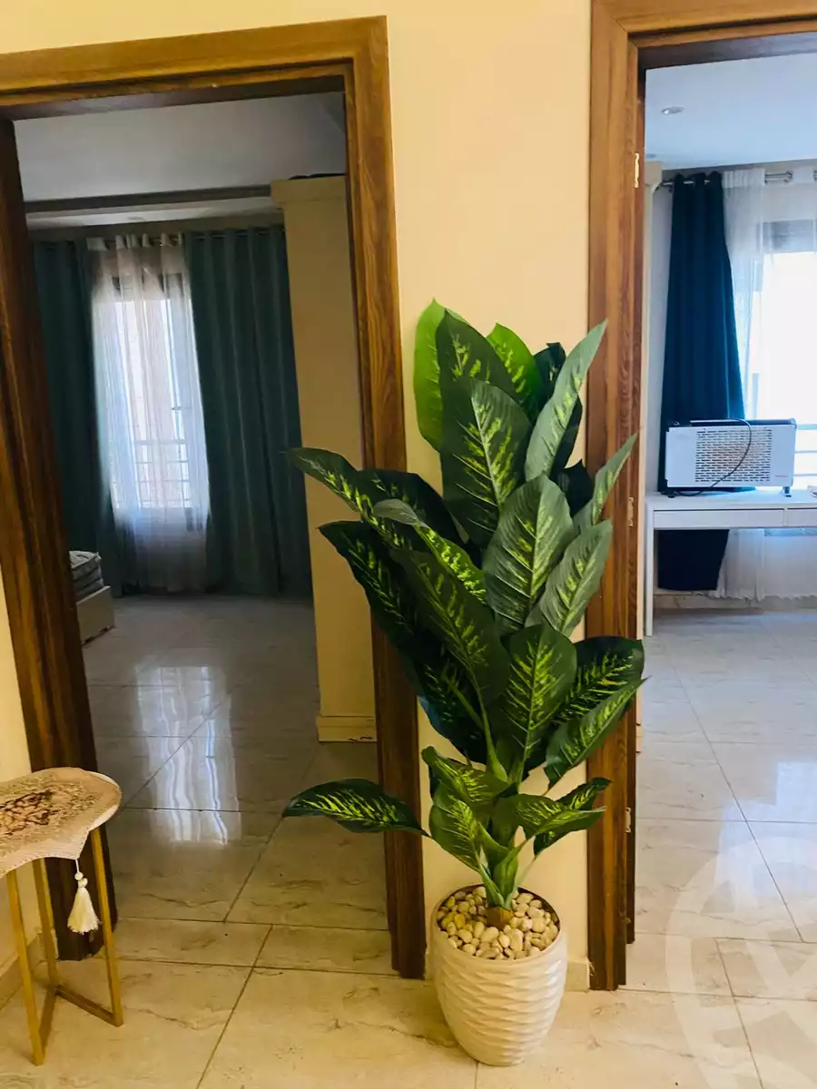 https://aqarmap.com.eg/en/listing/6618422-for-rent-cairo-el-maadi-compounds-ashgar-darna