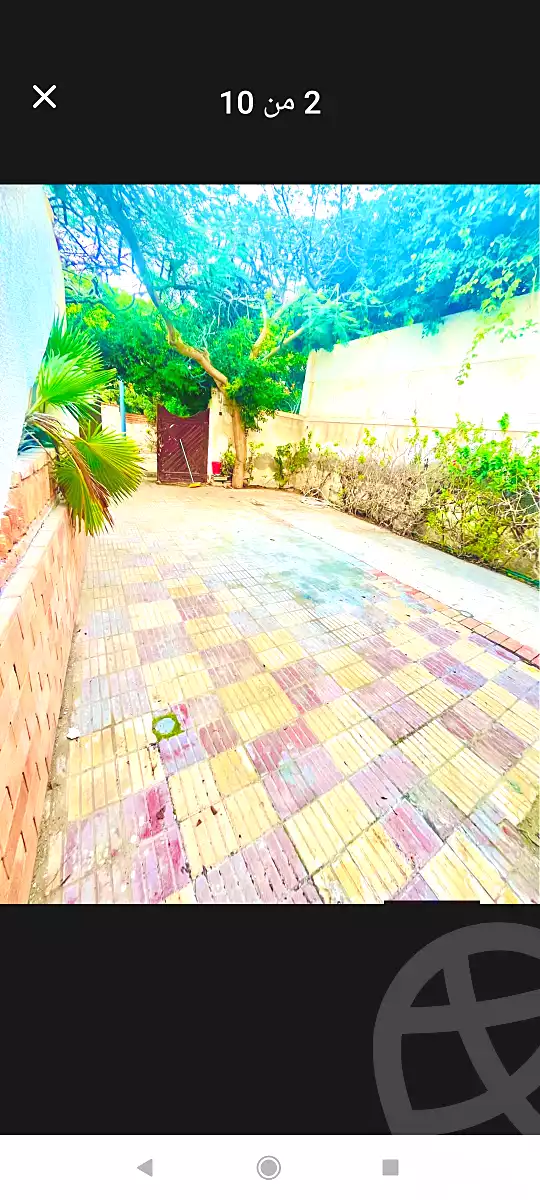 https://aqarmap.com.eg/ar/listing/6621164-for-rent-alexandria-l-jmy-lbytsh-el-hanafeya-st