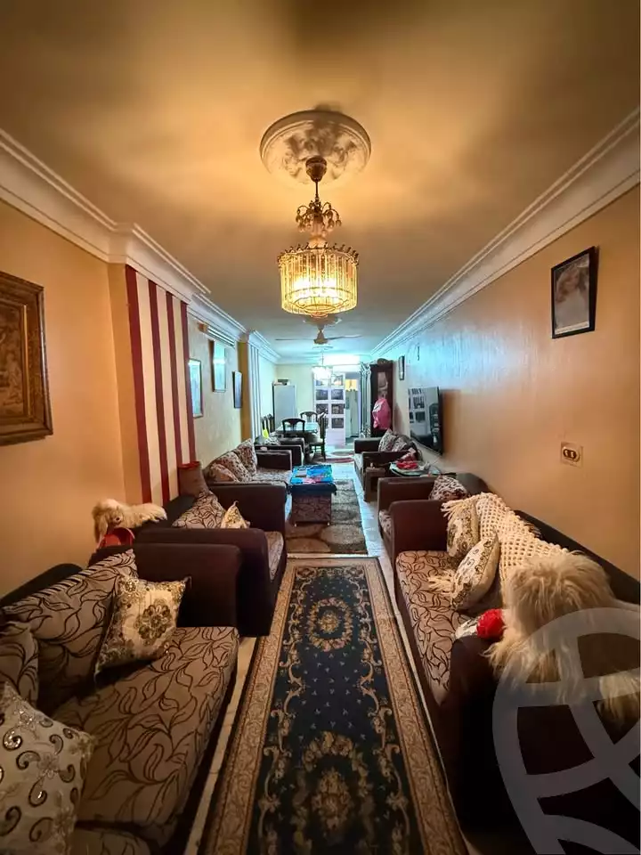 https://aqarmap.com.eg/en/listing/6638618-for-sale-alexandria-el-asafra-ali-bahgat-al-deryni-st