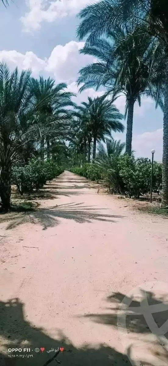 https://aqarmap.com.eg/en/listing/6642050-for-sale-beheira-wadi-el-natrun-hai-el-zohour
