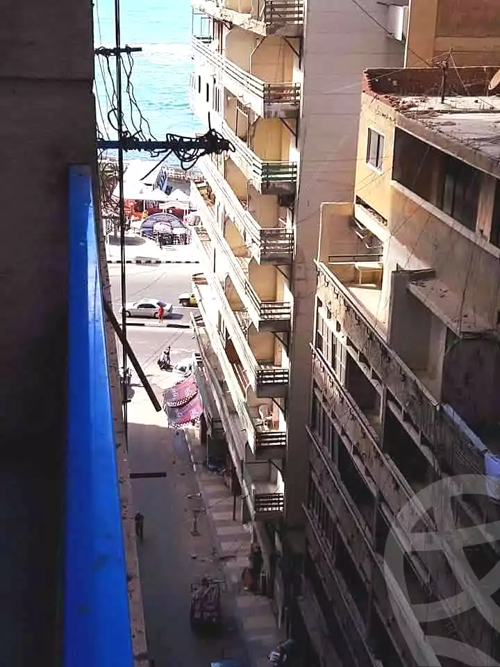 https://aqarmap.com.eg/en/listing/6643909-for-rent-alexandria-miami-iskandar-ibrahim-st