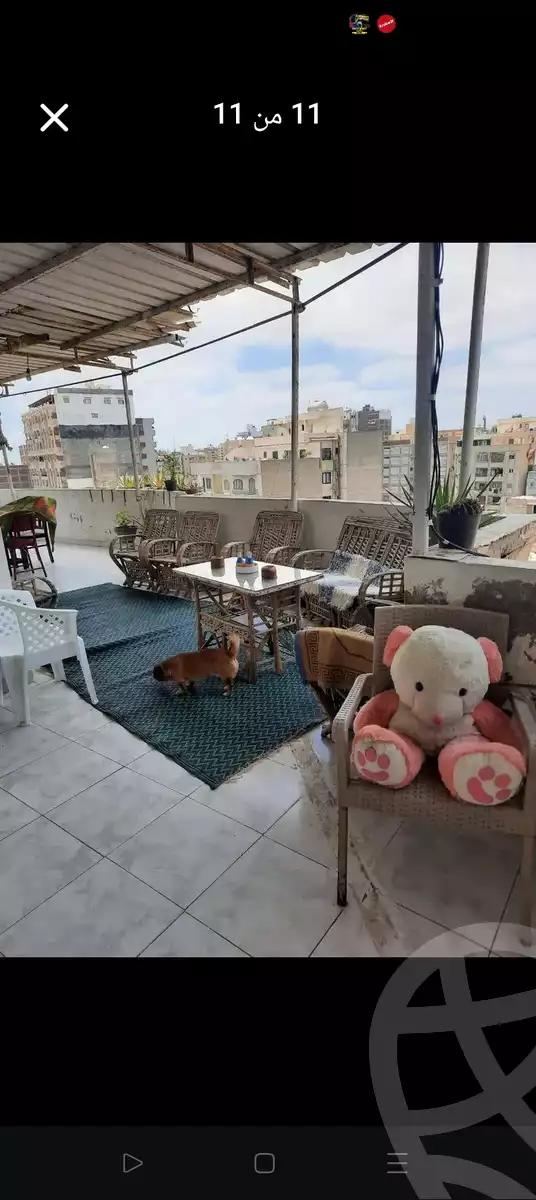 https://aqarmap.com.eg/ar/listing/6644091-for-sale-alexandria-lsywf
