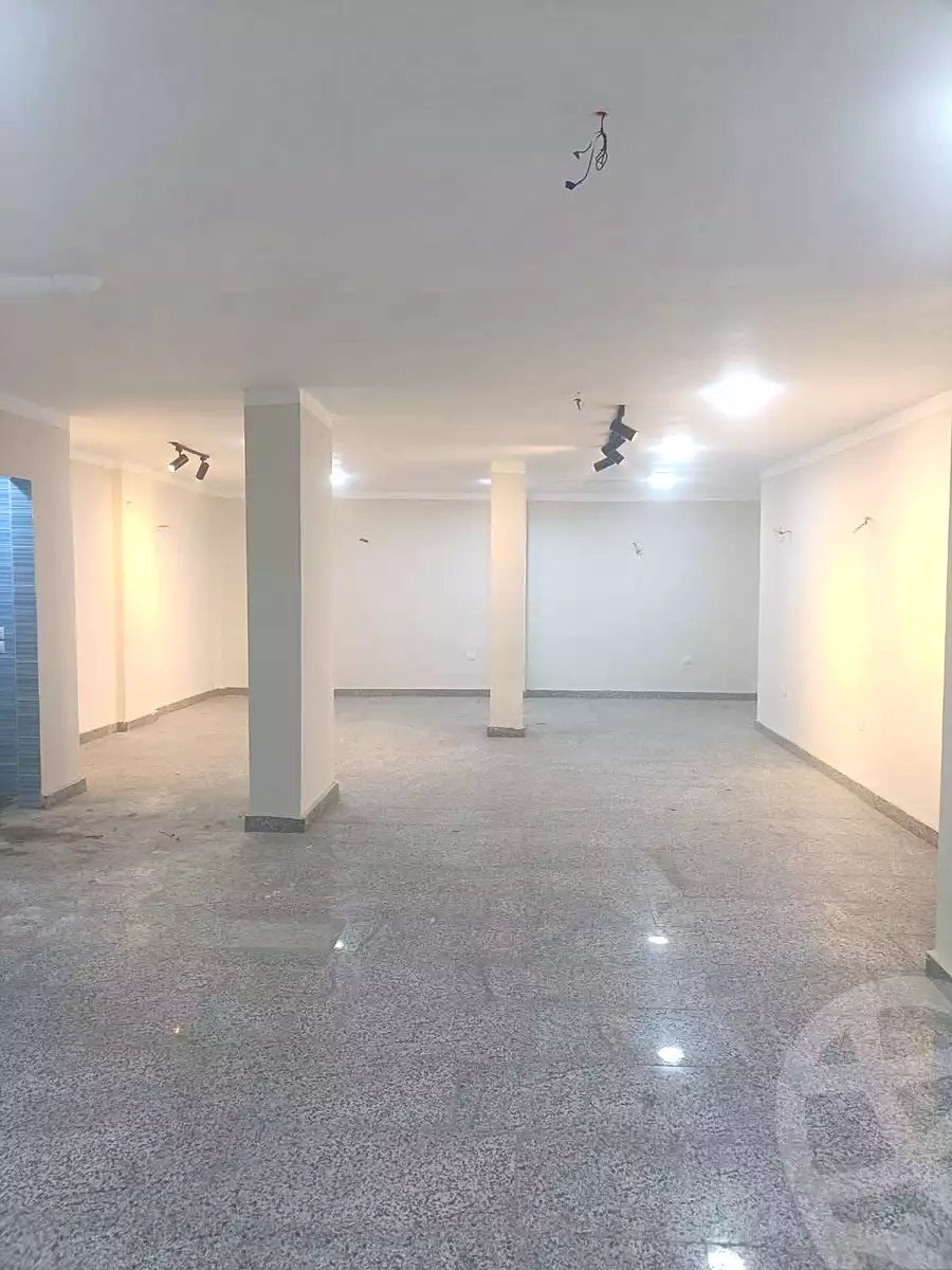 https://aqarmap.com.eg/en/listing/6654377-for-rent-cairo-mokattam-el-hadabah-el-wosta-el-mantaqa-el-olaa-baron-school-street
