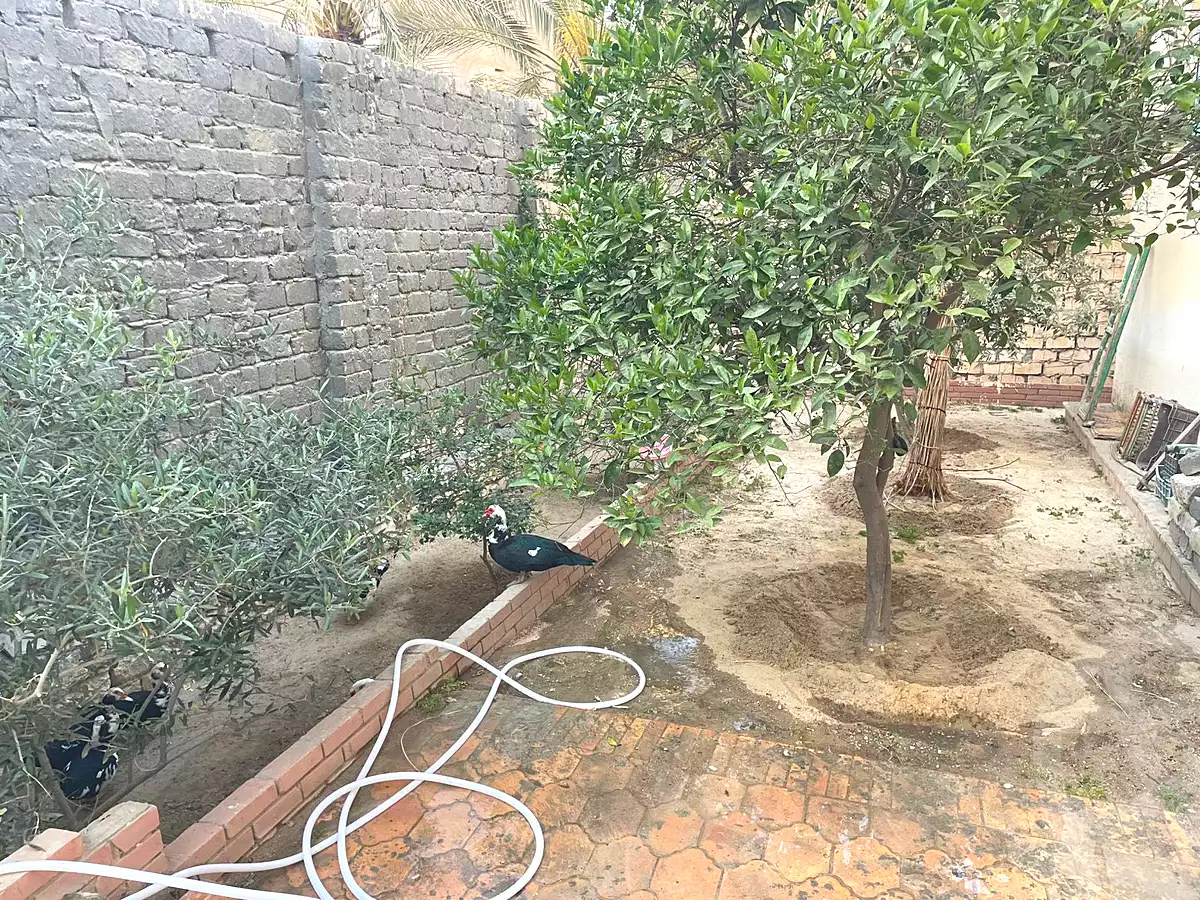 https://aqarmap.com.eg/ar/listing/6655270-for-sale-alexandria-l-jmy-bw-ywsf