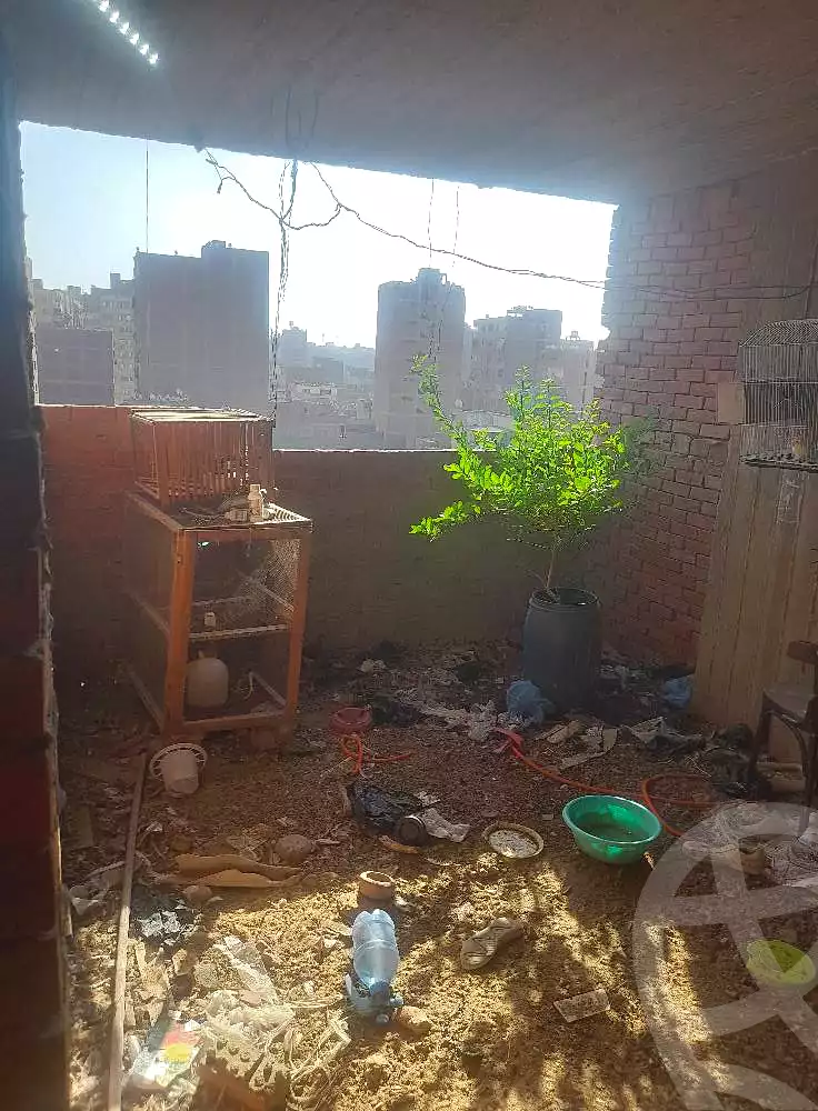 https://aqarmap.com.eg/en/listing/6659387-for-sale-cairo-ain-shams-yn-shms-lgrby