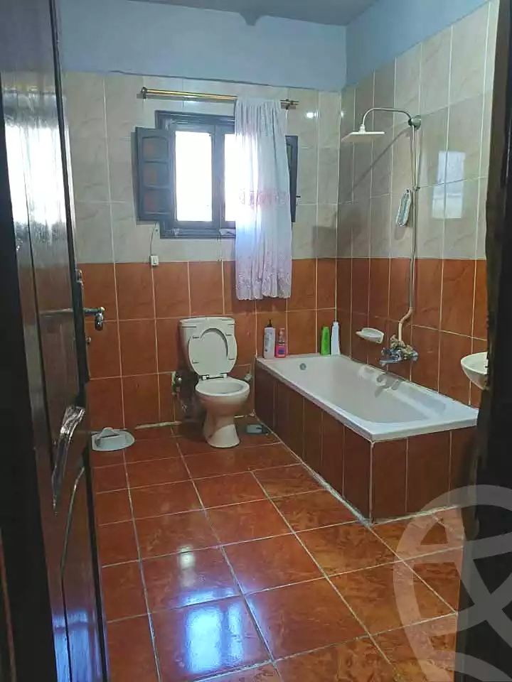 https://aqarmap.com.eg/en/listing/6672747-for-sale-alexandria-l-jmy-lbytsh