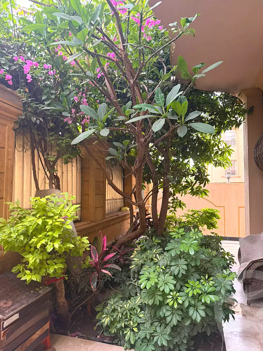 https://aqarmap.com.eg/en/listing/6674312-for-sale-cairo-new-cairo-ganob-el-akadamiya-south-academy-o-el-sheikh-mohamed-khater-st