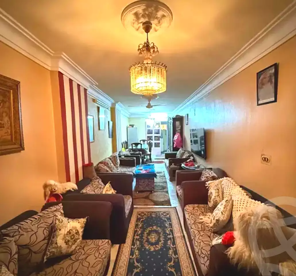 https://aqarmap.com.eg/ar/listing/6675801-for-sale-alexandria-el-asafra-ali-bahgat-al-deryni-st